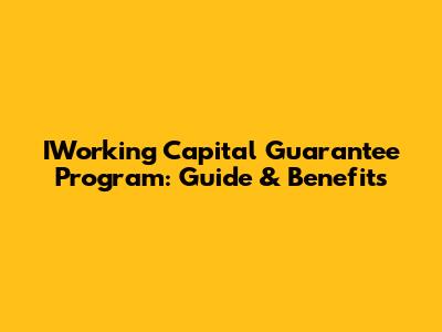 IWorking Capital Guarantee Program: Guide & Benefits
